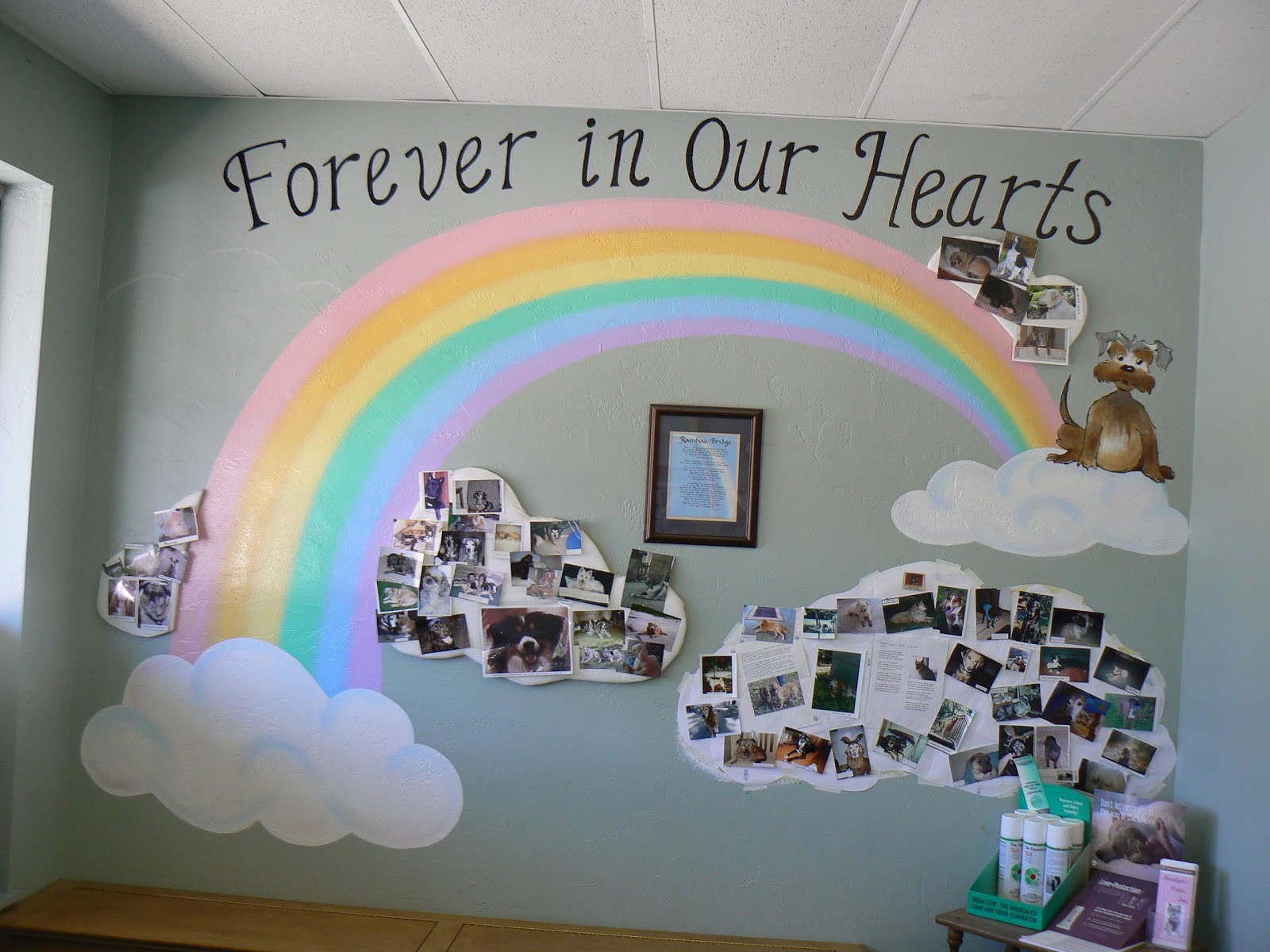South Russell Veterinary Hospital Inc. - Chagrin Falls Township , United States