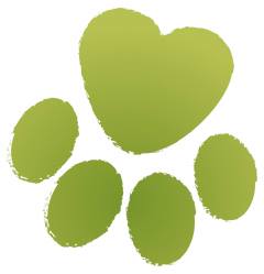 Blake Vets - Burnham-on-Sea , United Kingdom