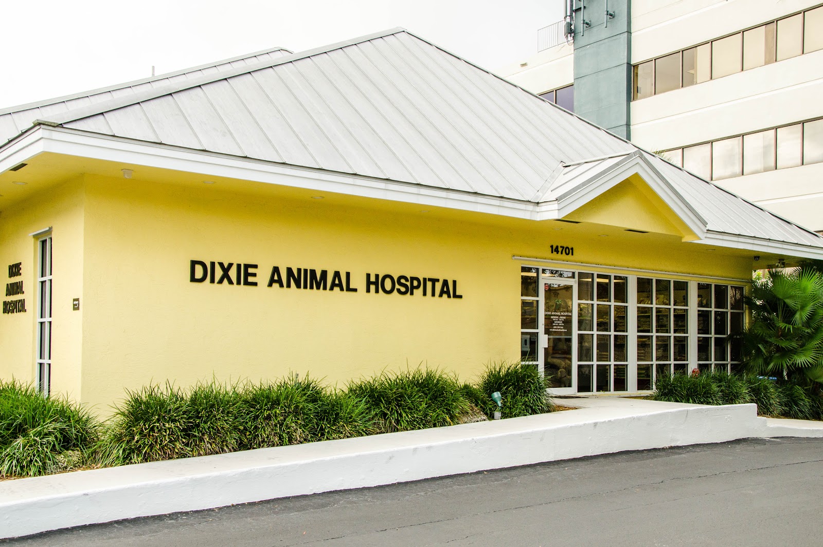 Dixie Animal Hospital - Palmetto Bay , United States