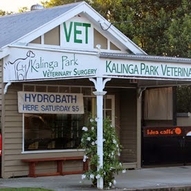 Kalinga Park Veterinary Surgery - Wooloowin , Australia