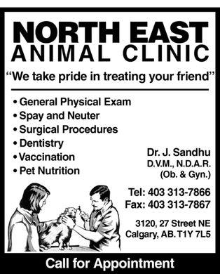 North East Animal Clinic - Calgary , Canada