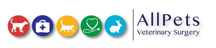 Allpets Veterinary Surgery - Prestatyn , United Kingdom
