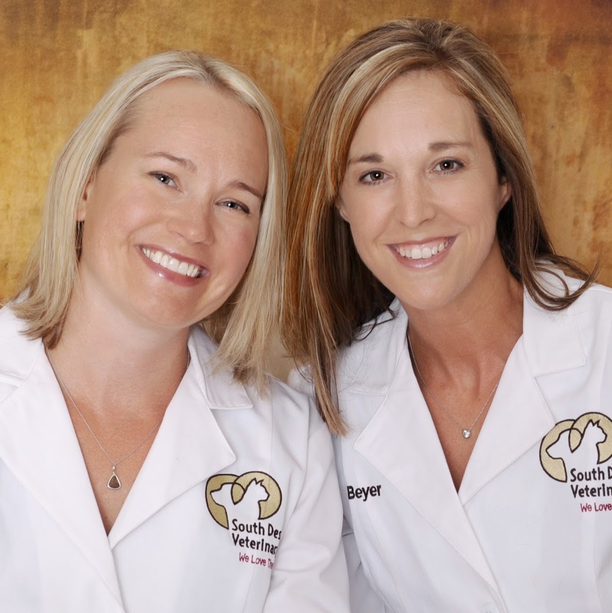 South Des Moines Veterinary Center - Des Moines , United States