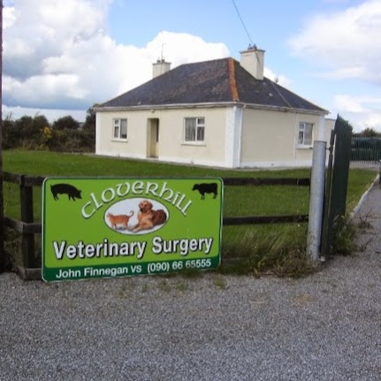Cloverhill Veterinary Surgery - Roscommon Town , Ireland