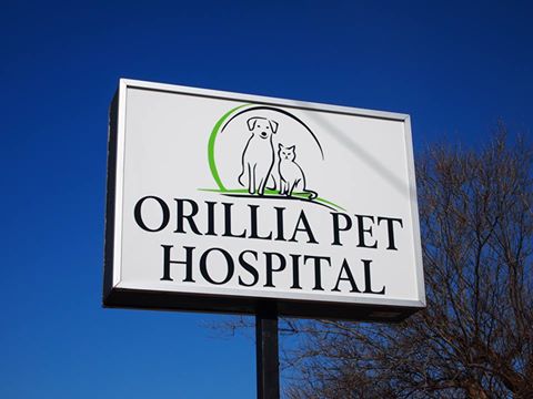 Orillia Pet Hospital - Orillia , Canada