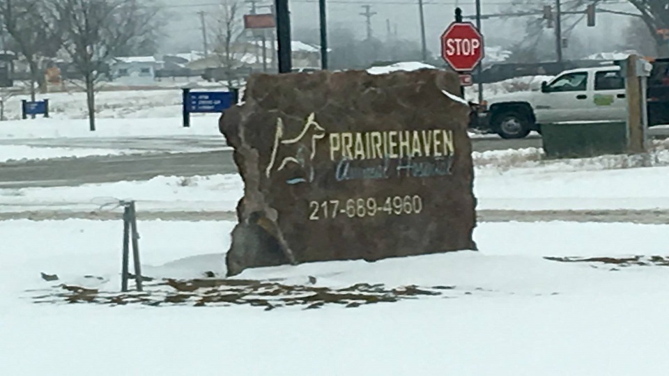 Green Prairie Animal Hospitals - Sherman , United States