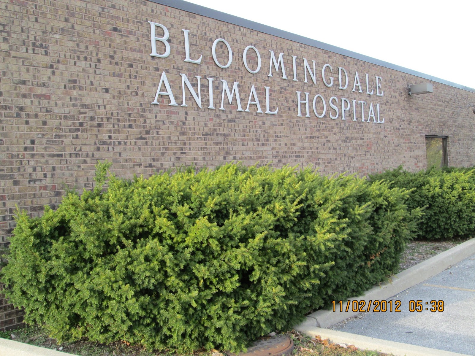Bloomingdale Animal Hospital A Thrive Pet Healthcare Partner - Bloomingdale , United States
