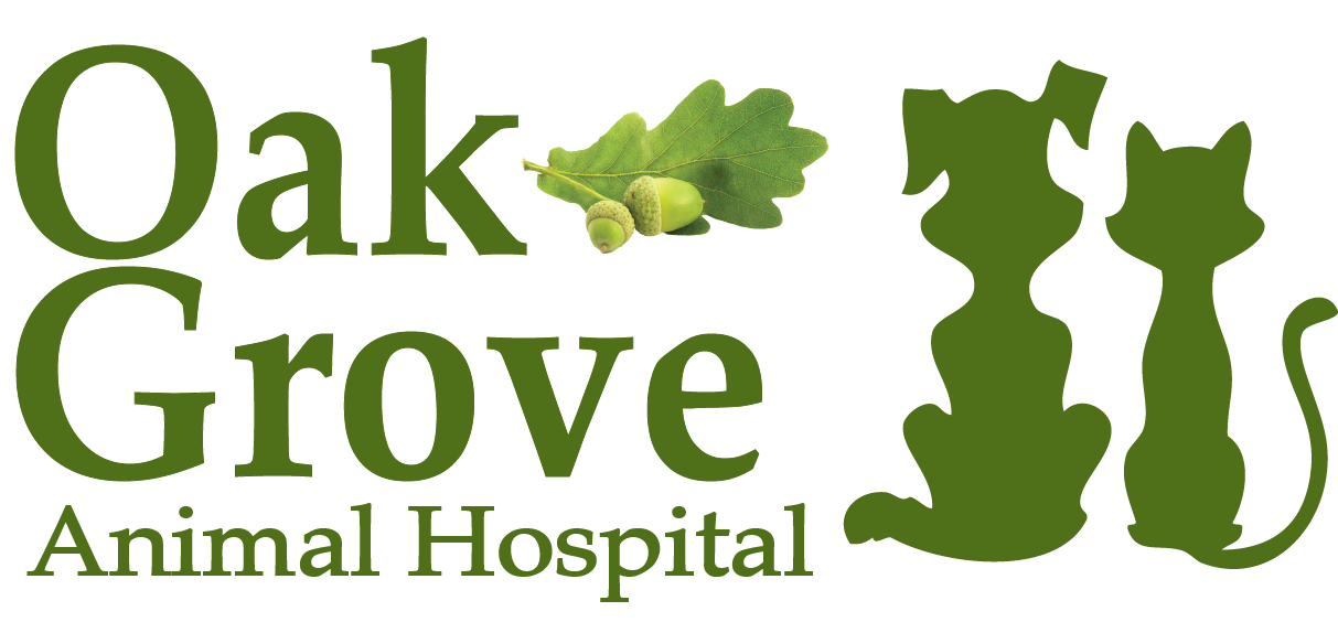 Raleigh Durham Veterinary Hospital - Durham , United States