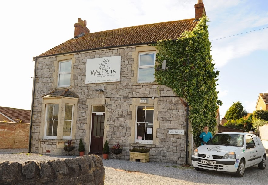 Wellpets - Weston-super-Mare , United Kingdom