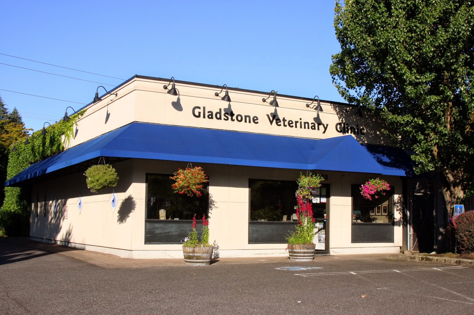 Gladstone Veterinary Clinic - Milwaukie , United States