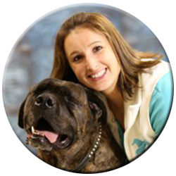Complete Care Animal Hospital - Mt Vernon , United States