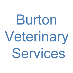 Burton Veterinary Services 28481 Starr Road Abbotsford Reviews