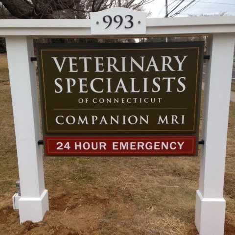 Vca Veterinary Specialists Of Ct - West Hartford , United States