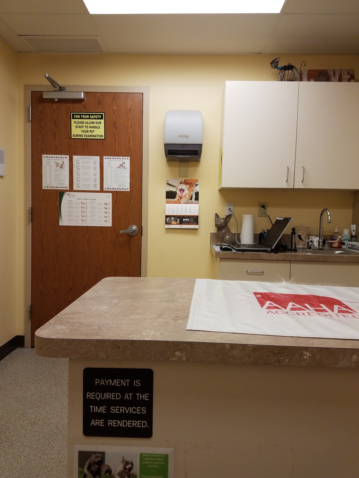 Petplex Animal Hospital - Buckeye Lake , United States