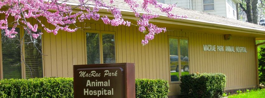 Mac Rae Park Animal Hospital - Des Moines , United States