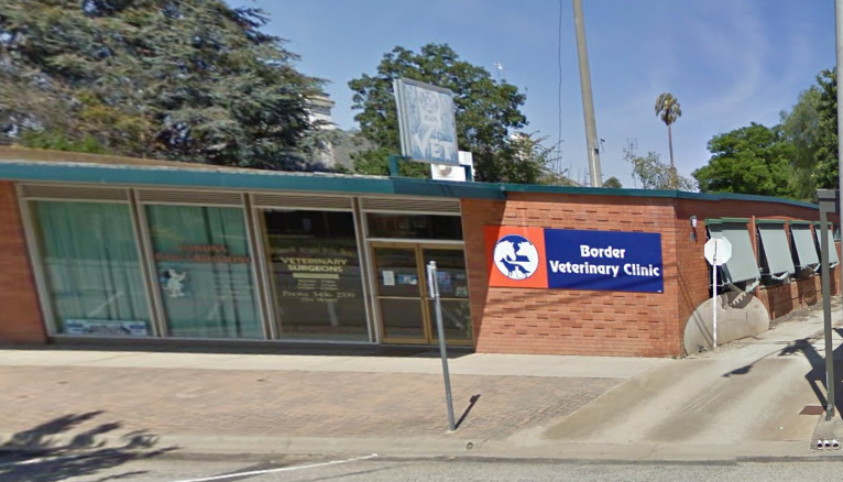 Border Veterinary Clinic - Cohuna , Australia