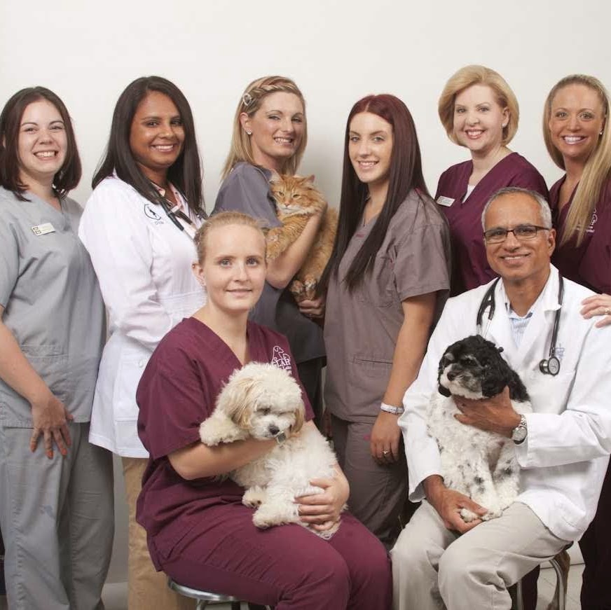 Great Lakes Animal Hospital - Clinton Twp , United States