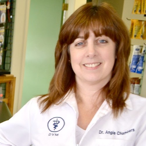Royal Oak Pet Clinic - Victoria , Canada