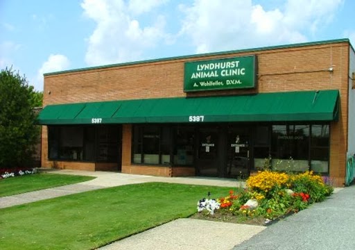 Lyndhurst Animal Clinic A Thrive Pet Healthcare Partner - Lyndhurst , United States