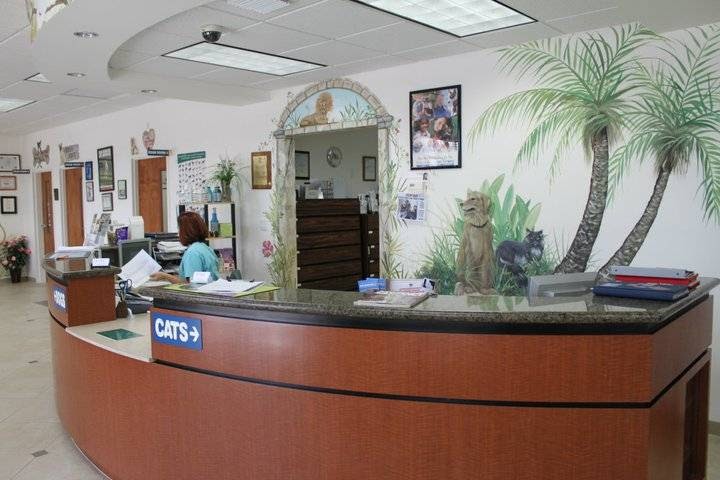 Dr K's Animal Hospital - Jupiter , United States