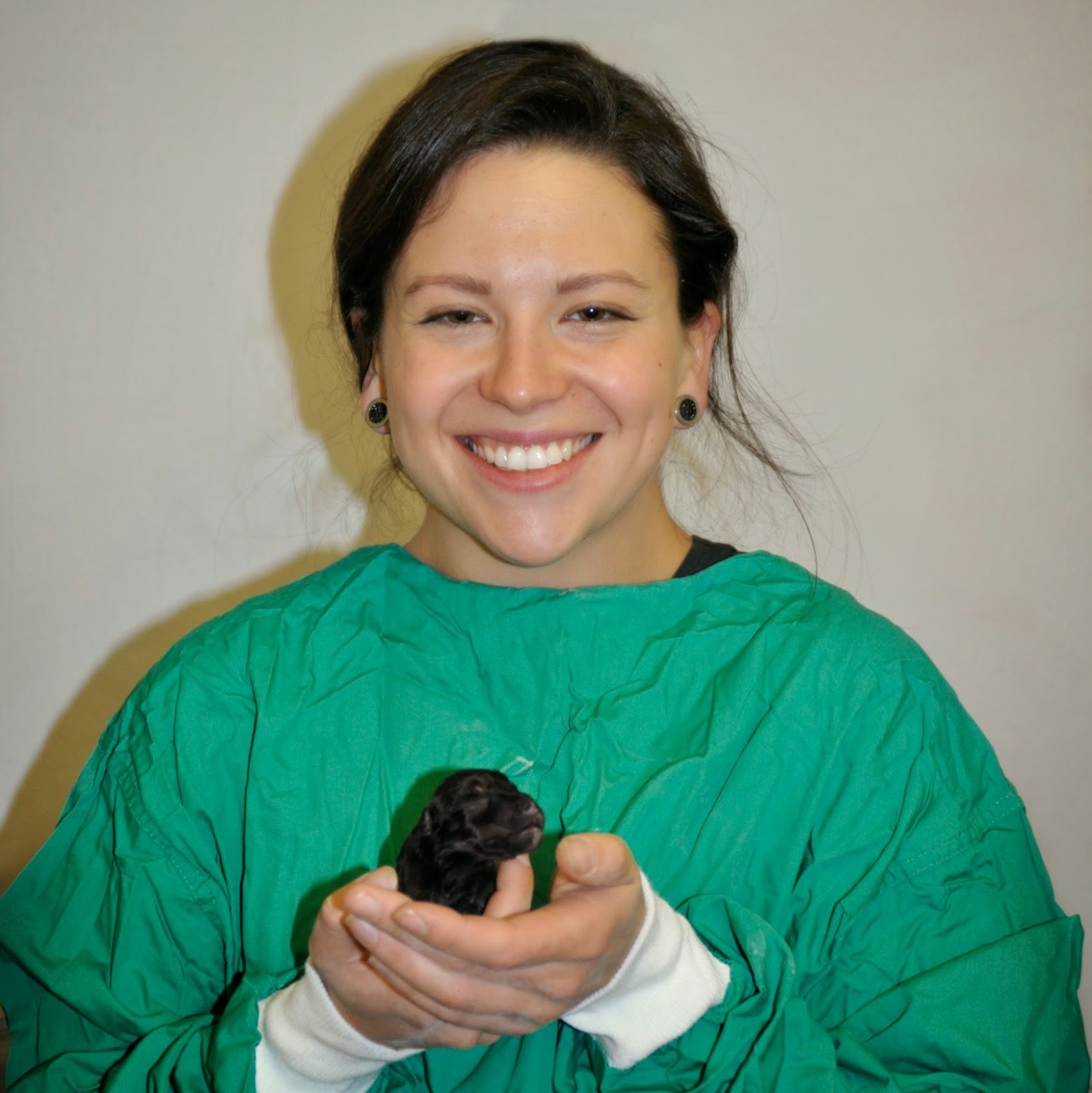 Caddy Veterinary Practice - Antrim , United Kingdom