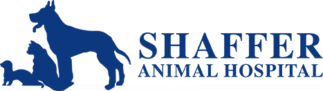 Shaffer Animal Hospital - Oviedo , United States