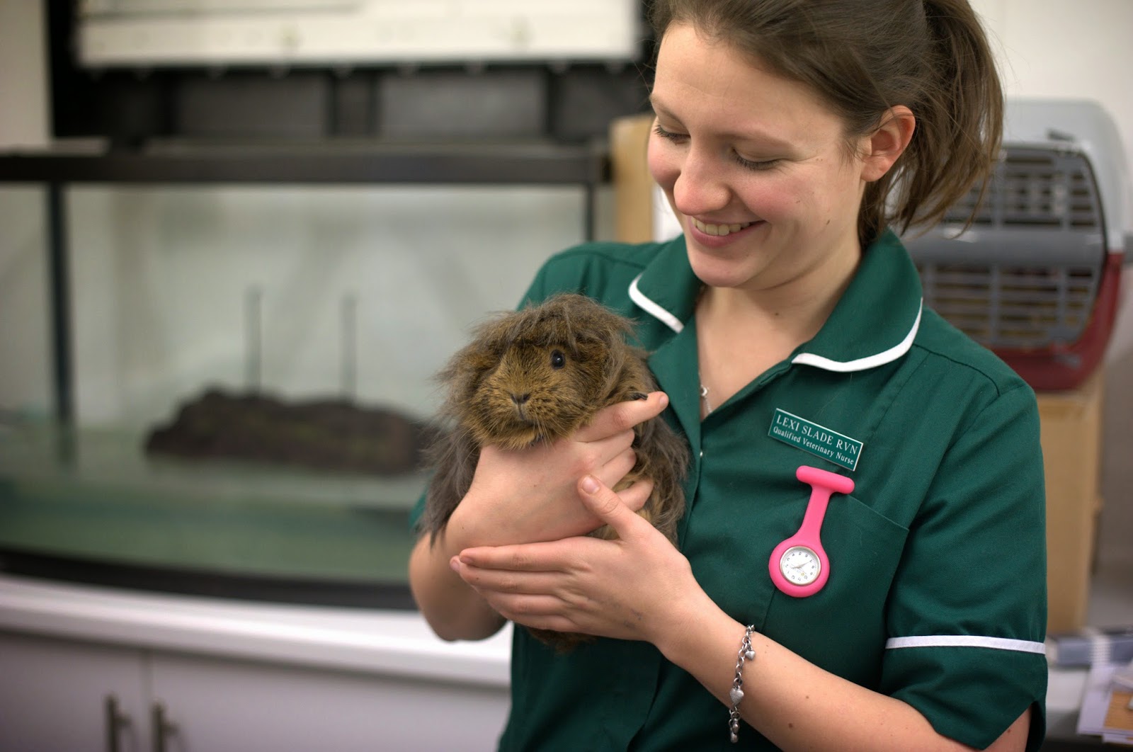 Belvedere Parkvets - Belvedere , United Kingdom