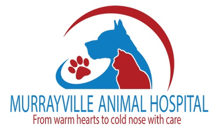 Murrayville Animal Hospital | Langley Vets - Langley , Canada