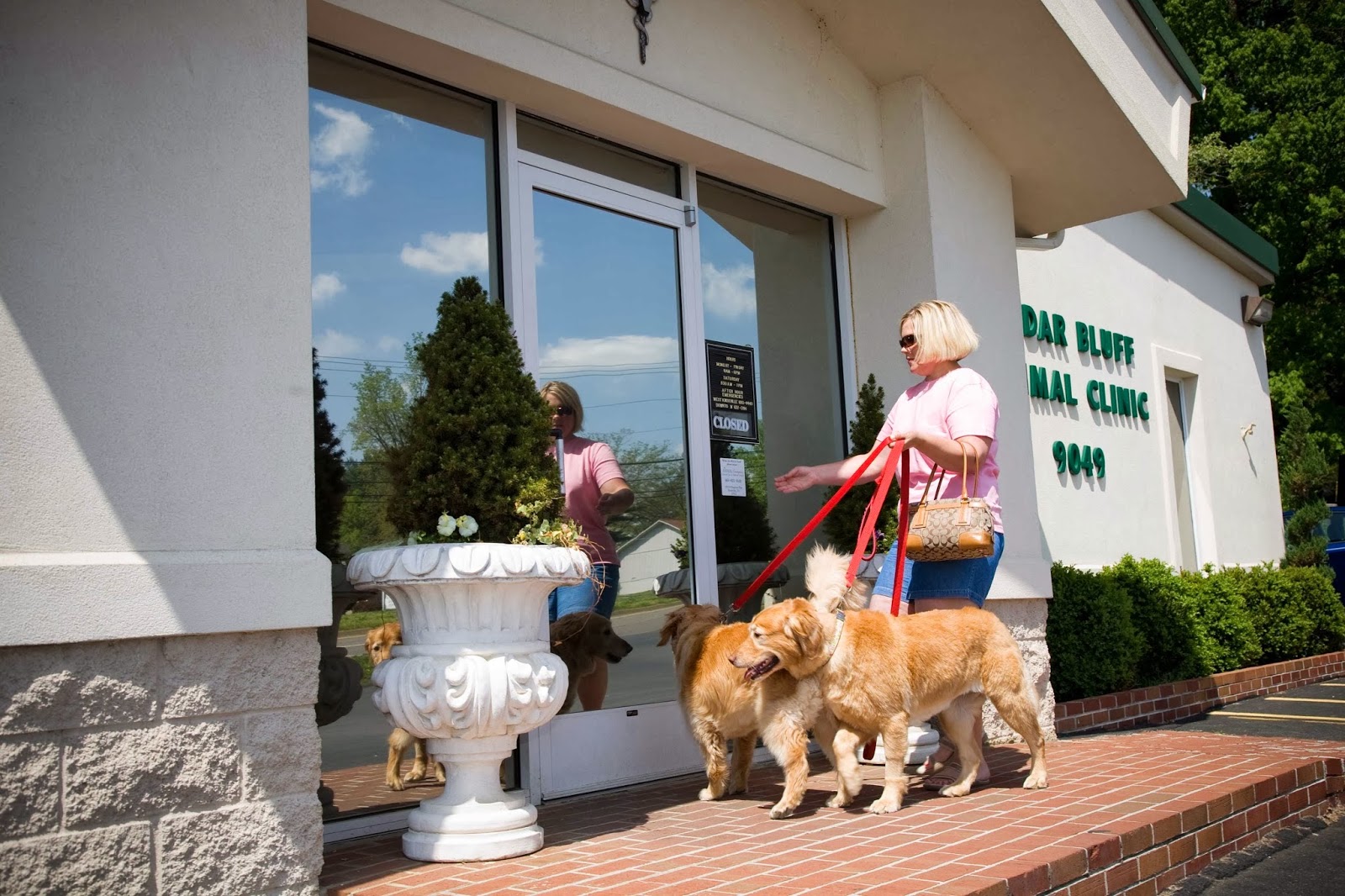 Cedar Bluff Animal Clinic - Knoxville , United States
