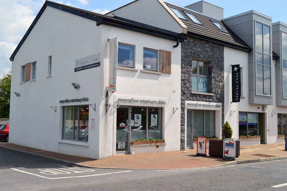 Moycullen Veterinary Clinic - Galway , Ireland