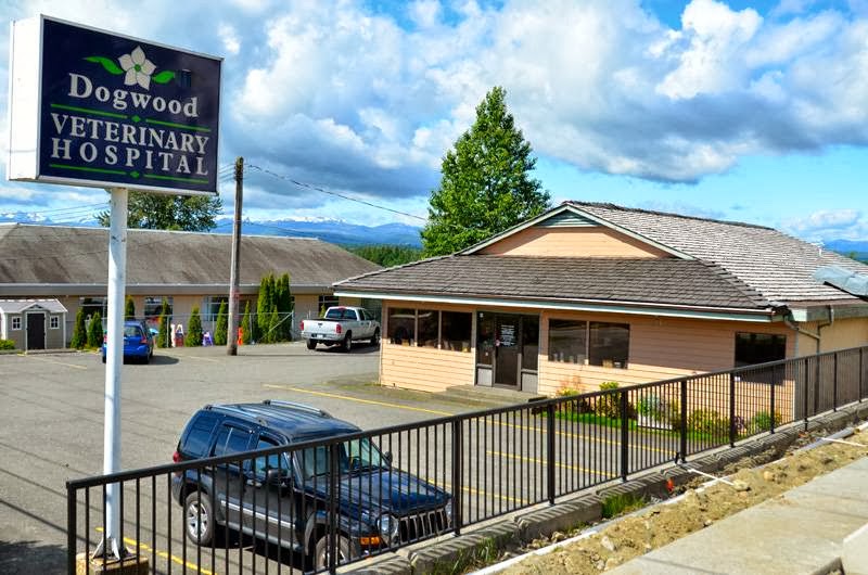 Dogwood Veterinary Hospital - Campbell River , Canada