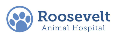 Roosevelt Animal Hospital - Port Jefferson Station , United States