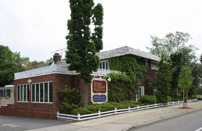 Madison Animal Hospital - Madison , United States
