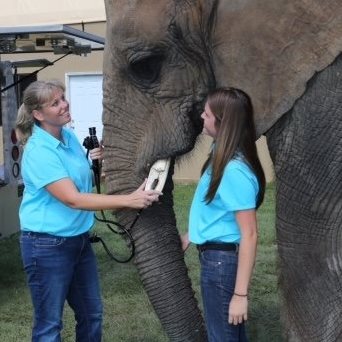 Reagan Equine - Wilmington , United States