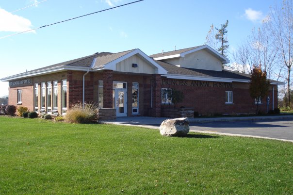 Princess Animal Hospital - Kingston , Canada