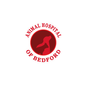 Animal Hospital Of Bedford - Bedford , United States