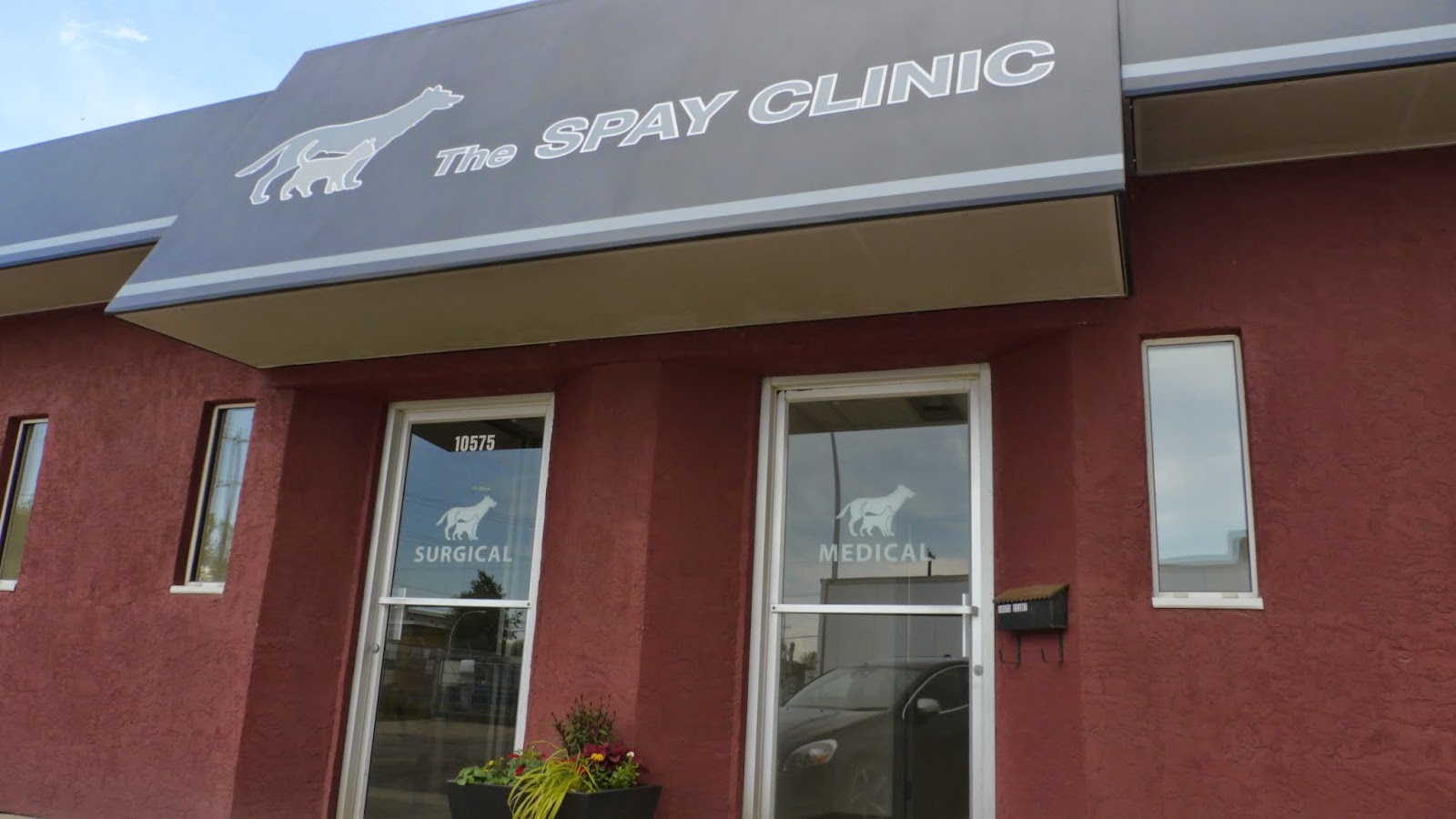 The Spay Clinic - Edmonton , Canada