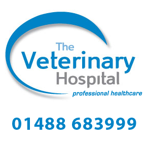 The Veterinary Hospital - Hungerford , United Kingdom