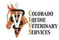 Colorado Equine Veterinary Services - Peyton , United States