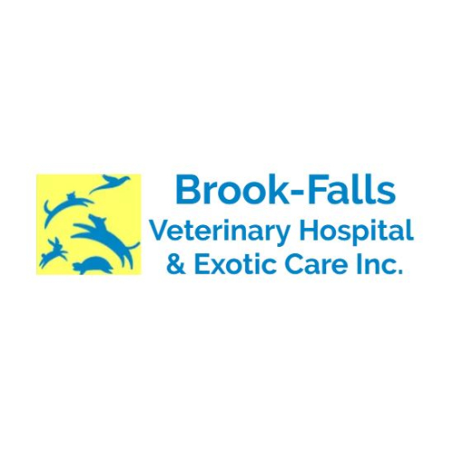 Brook Falls Veterinary Hospital And Exotic Care - Menomonee Falls , United States