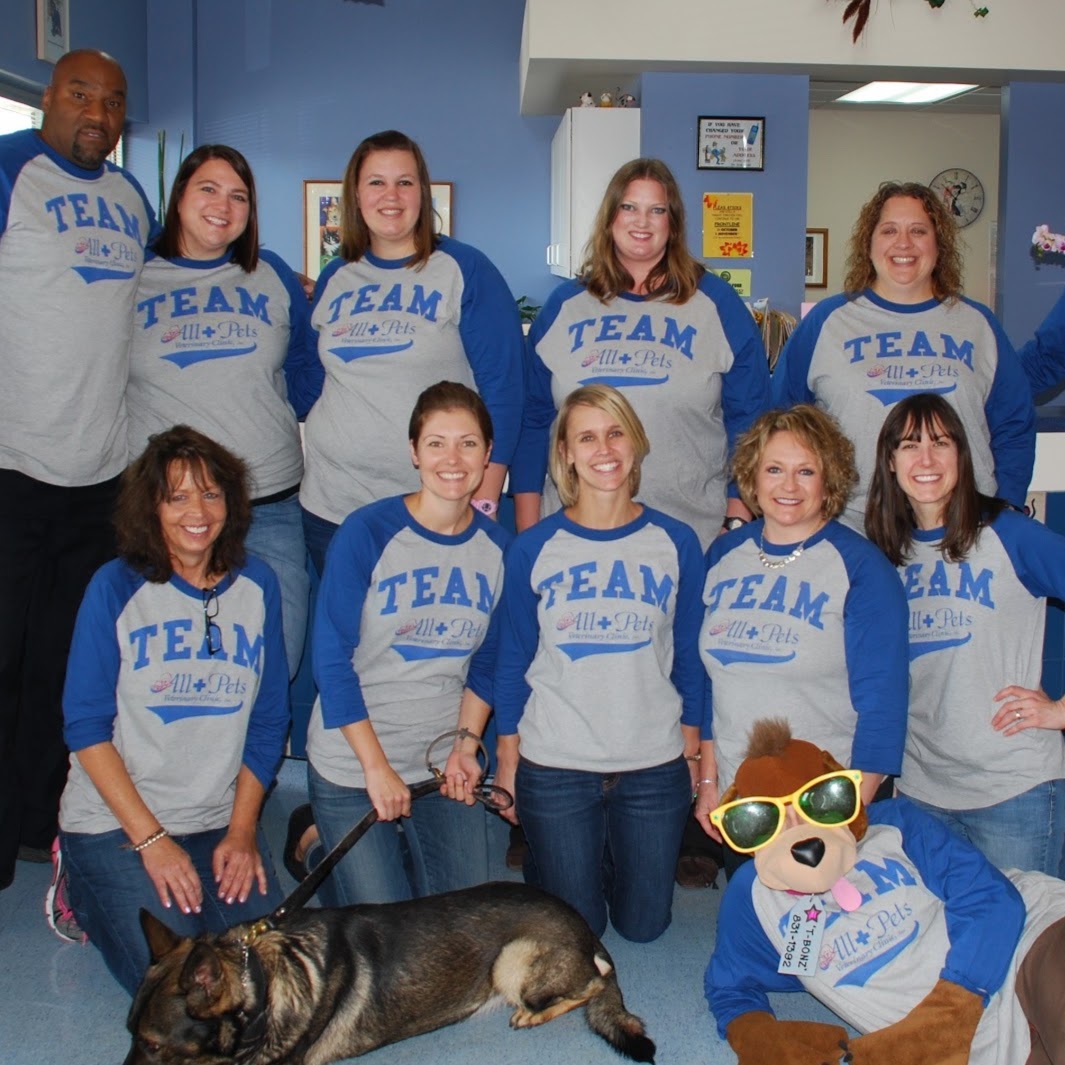 All For Pets Veterinary Clinic - Middleton , United States