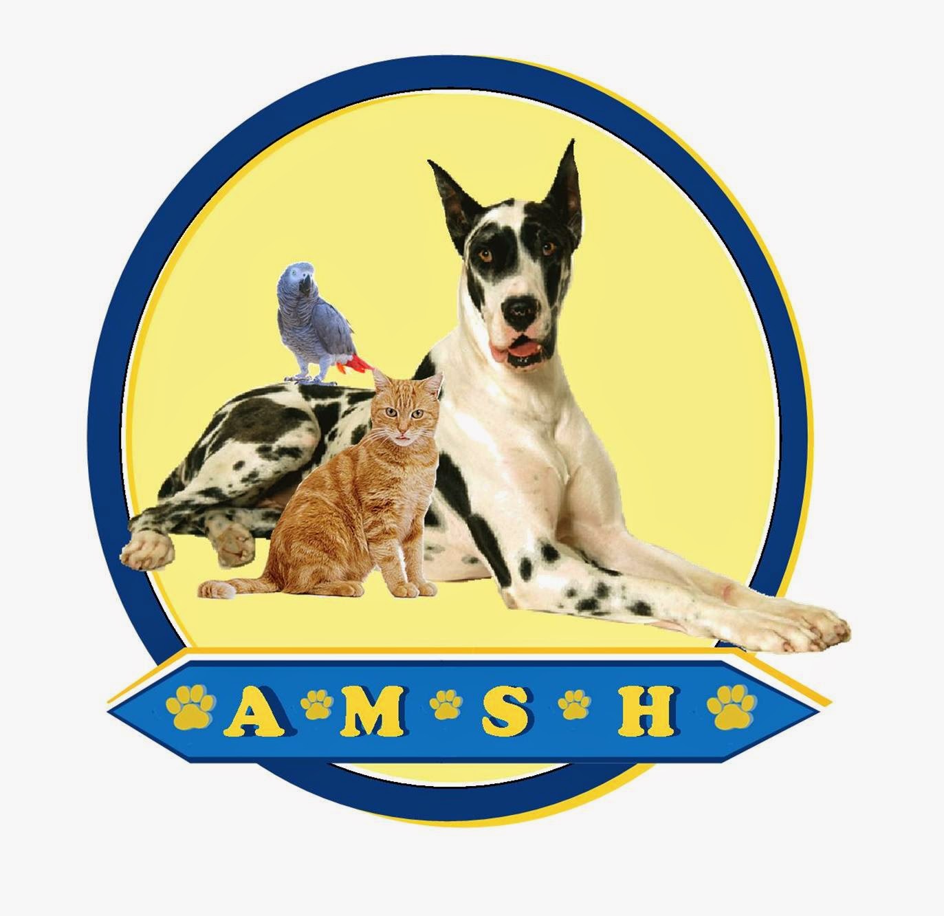 Animal Medical And Surgical Hospital - Tulsa , United States