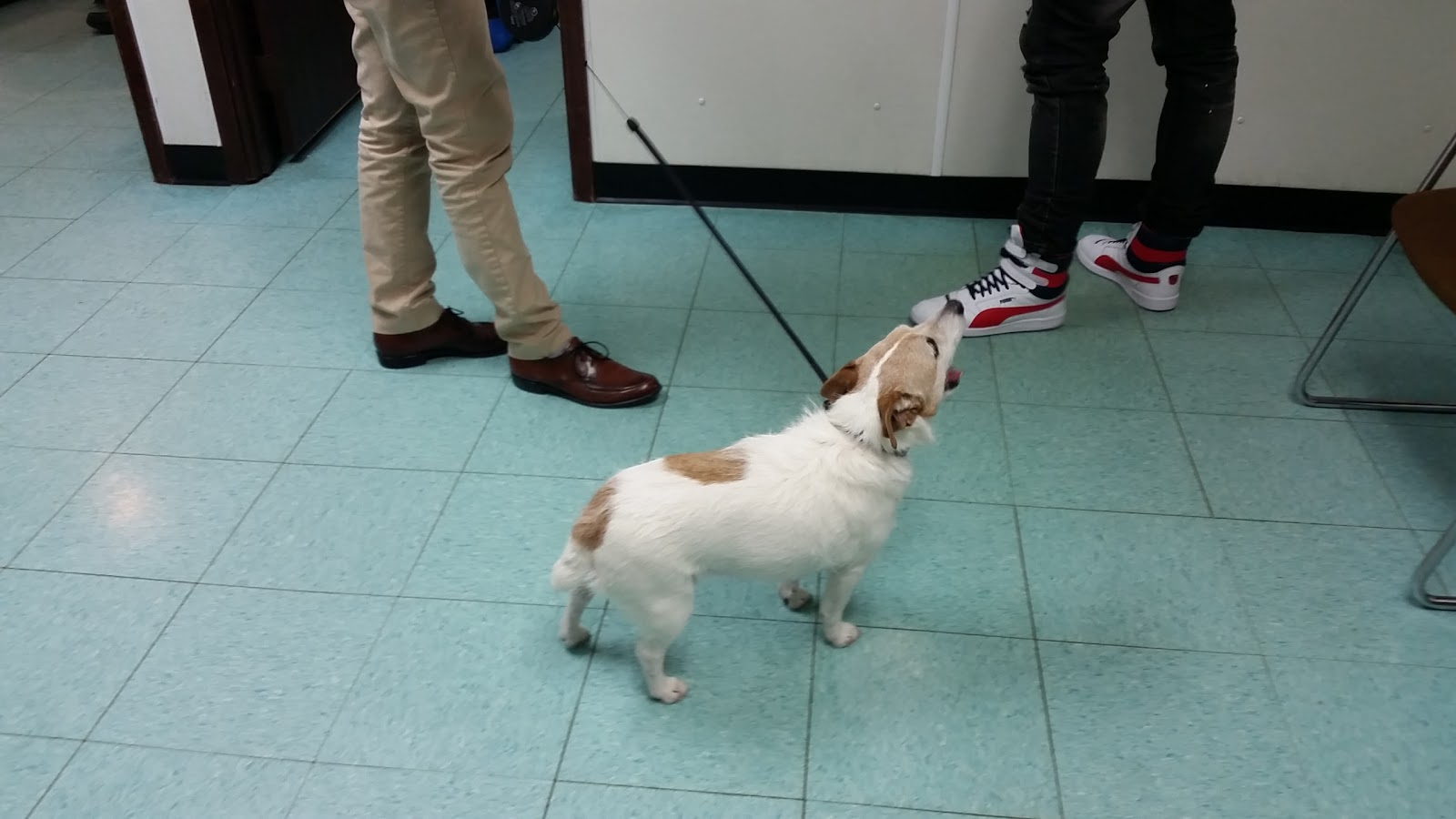 East Columbus Veterinary Hospital - Columbus , United States