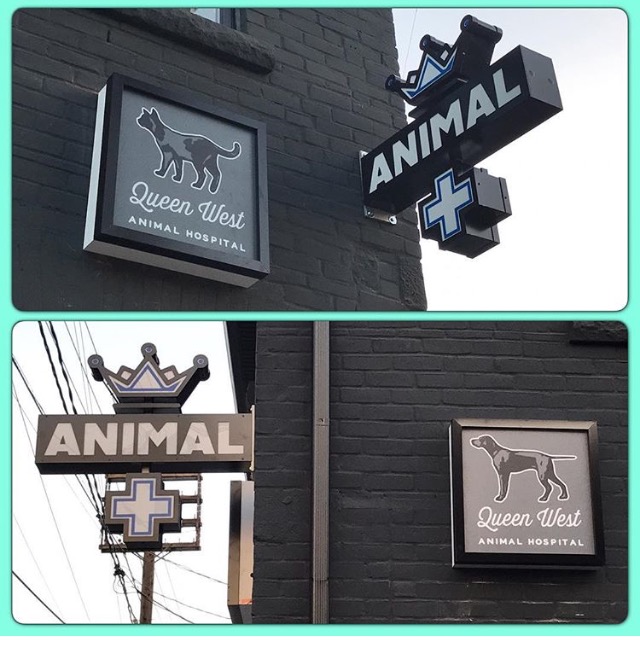 Queen West Animal Hospital - Toronto , Canada