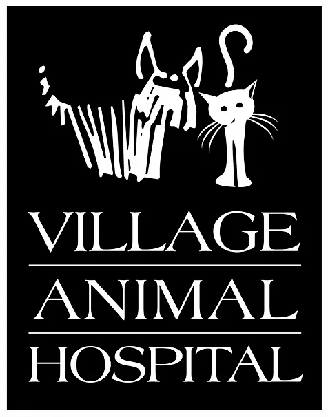 Village Animal Hospital - Lexington , United States