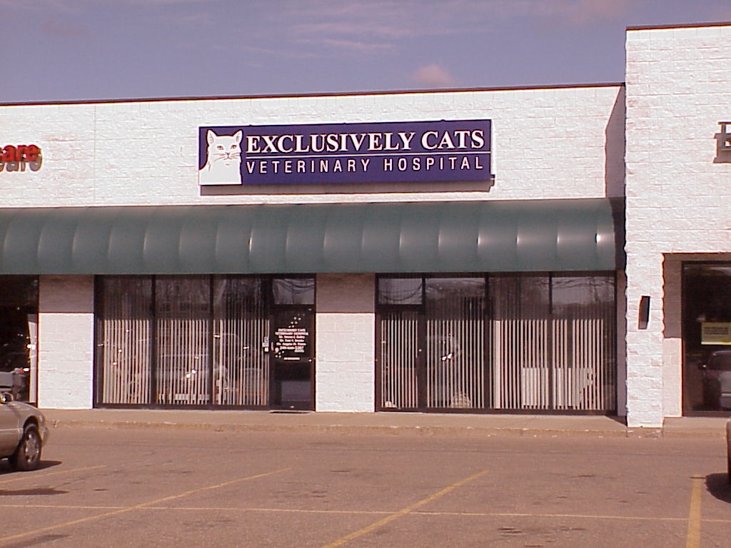 Exclusively Cats Veterinary Hospital - Waterford Twp , United States
