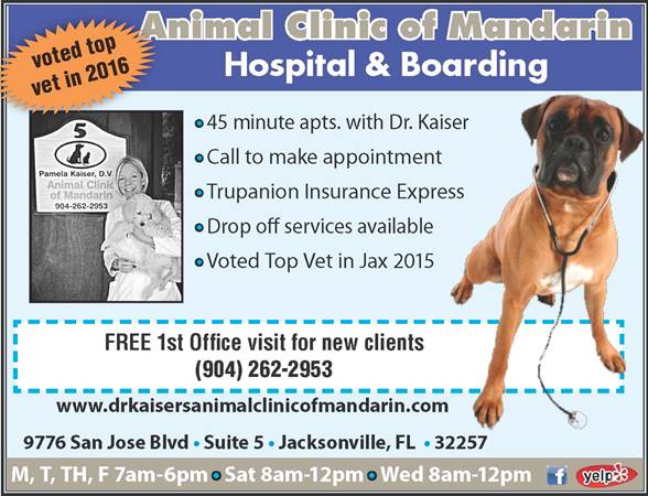 Animal Clinic Of Mandarin - Jacksonville , United States