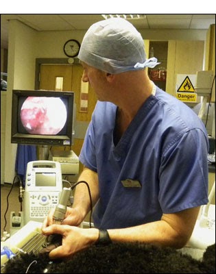 Thistle Vets - Edinburgh , United Kingdom