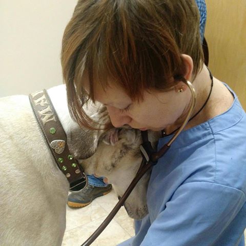 Bethayres Veterinary Hospital - Huntingdon Valley , United States