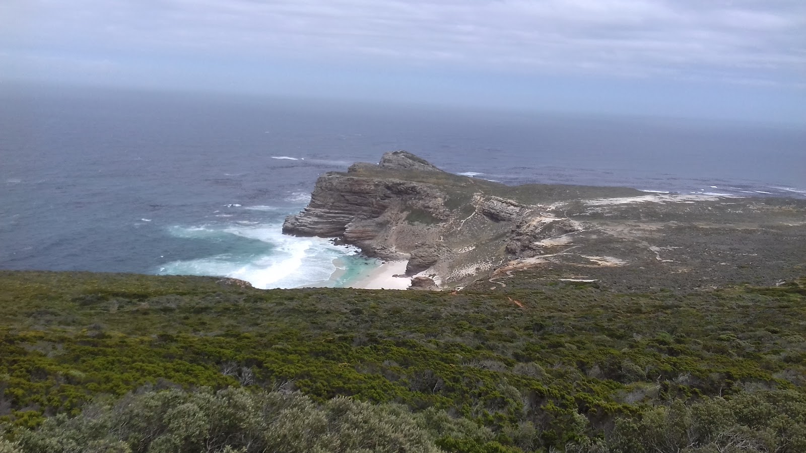 Cape Of Good Hope Spca - Cape Town , South Africa